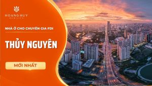 nha o chuyen gia fdi thuy nguyen